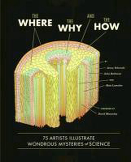 Where The Why & The How - cover