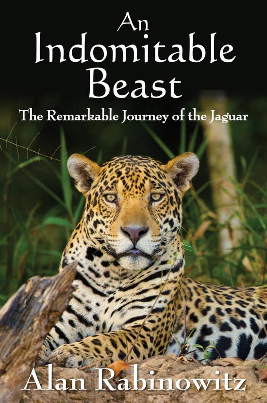 An Indomitable Beast - cover