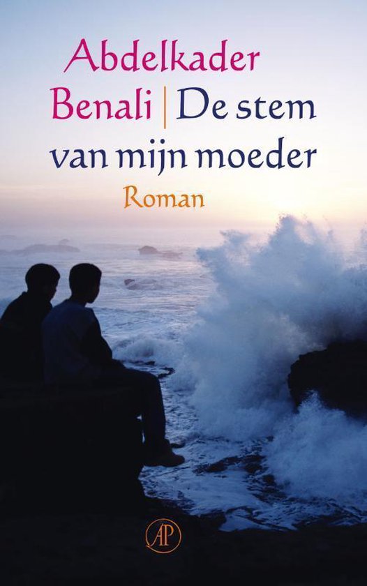 9789029584043 - De stem van mijn moeder