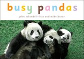 A Busy Book - Busy Pandas