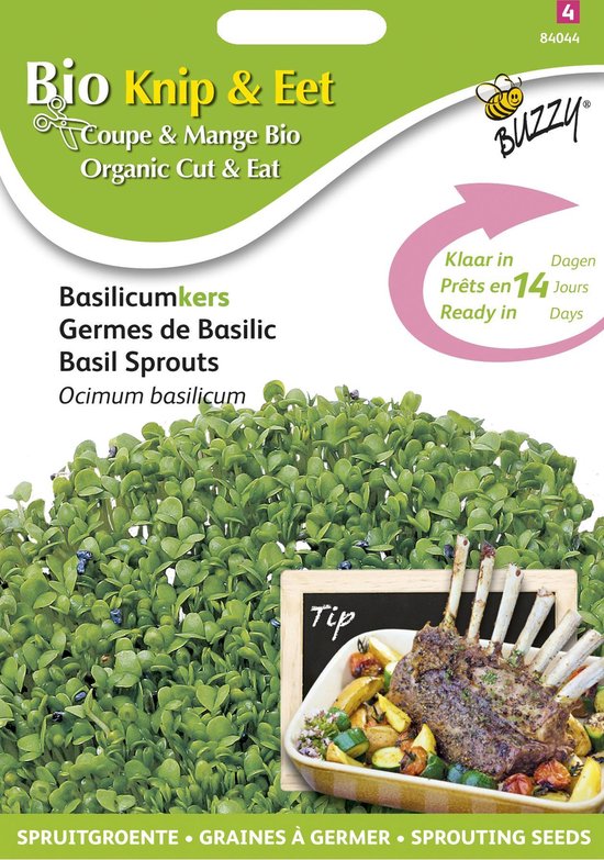 Buzzy® Bio Knip & Eet Basilicumkers (BIO) | bol.com