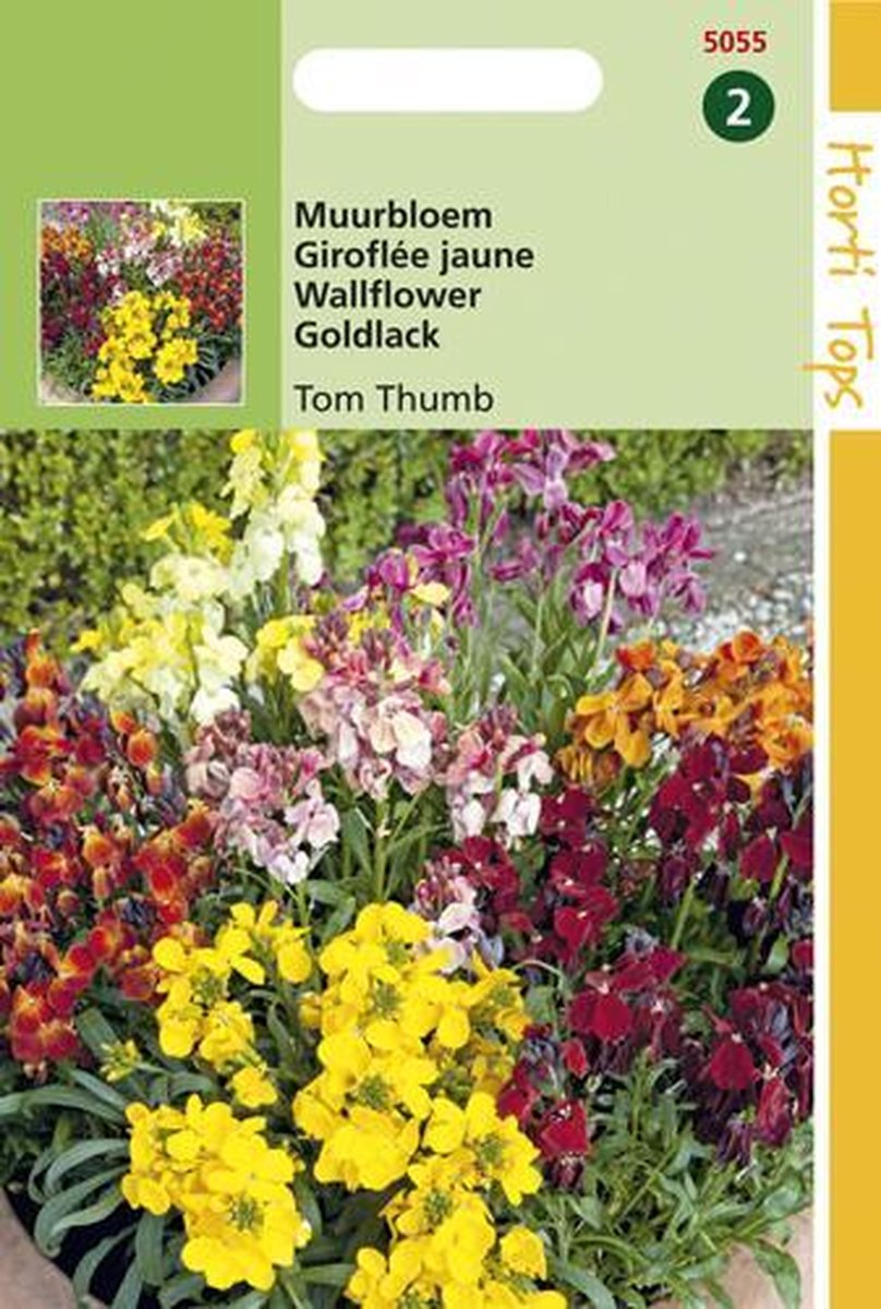 Hortitops Zaden - Cheiranthus Cheirii Tom Thumb Gemengd