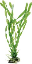 Ferplast Kunstplant Blu Vallisneria 5,5 X 2,5 X 30 Cm Groen