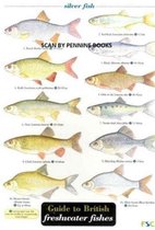 Guide to British Freshwater Fishes