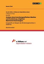 Analyse Eines Branchenspezifischen Marktes Und Erarbeitung Moglicher Markteintrittsstrategien