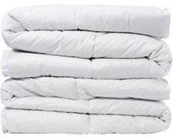 Dekbed 4 seizoenen Basic 240x200