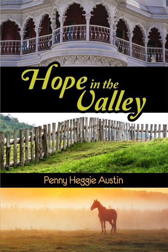 Hope in the Valley - cover