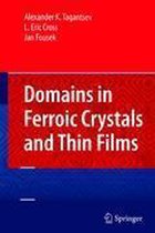 Domains in Ferroic Crystals and Thin Films