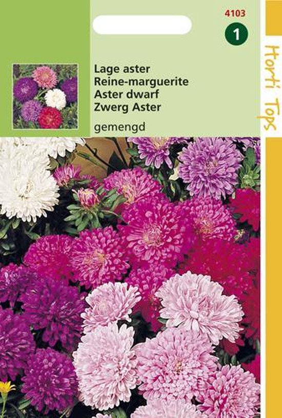 Hortitops Zaden - Callistephus Chinensis Dwergchrysanthemum Gemengd