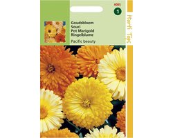 foto van Hortitops Zaden - Calendula off. Pacific Beauty gemengd