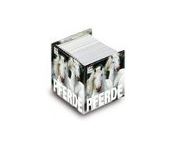 MiniCube. Pferde