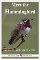 Meet the Animals - Meet the Hummingbird