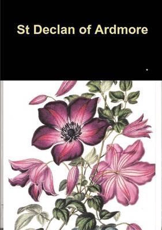 St Declan of Ardmore 9781291541601 Onbekend Boeken bol