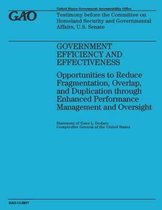 Government Efficiency and Effectiveness