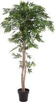 EUROPALMS Ficus longifolia - Kunstplant - 165cm