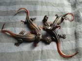 Fop Salamanders 5 stuks