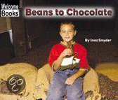 Beans to Chocolate