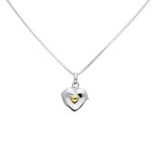Classic&more -collier medaillon - zilver - hart met geel hart