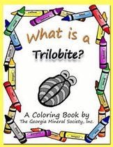 What Is a Trilobite?