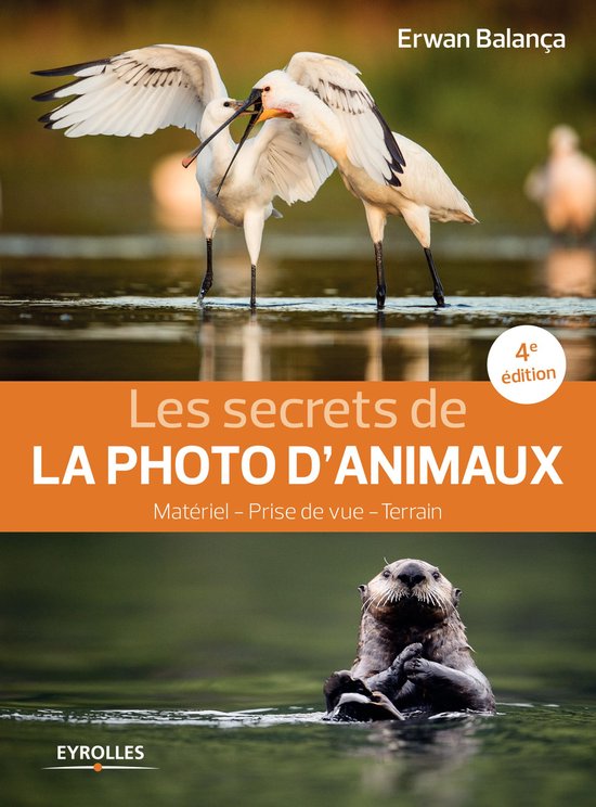 Secrets de photographes - Les secrets de la photo d'animaux - cover