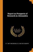 Report on Prospects of Research in Alexandria