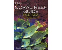 Coral Reef Guide Red Sea