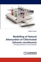 Modelling of Natural Attenuation of Chlorinated Solvents Constituents