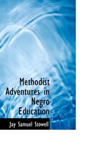 Methodist Adventures in Negro Education