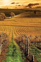 Autumn Vineyard Notebook
