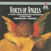 Voices of Angels / Harnoncourt, Leonhardt