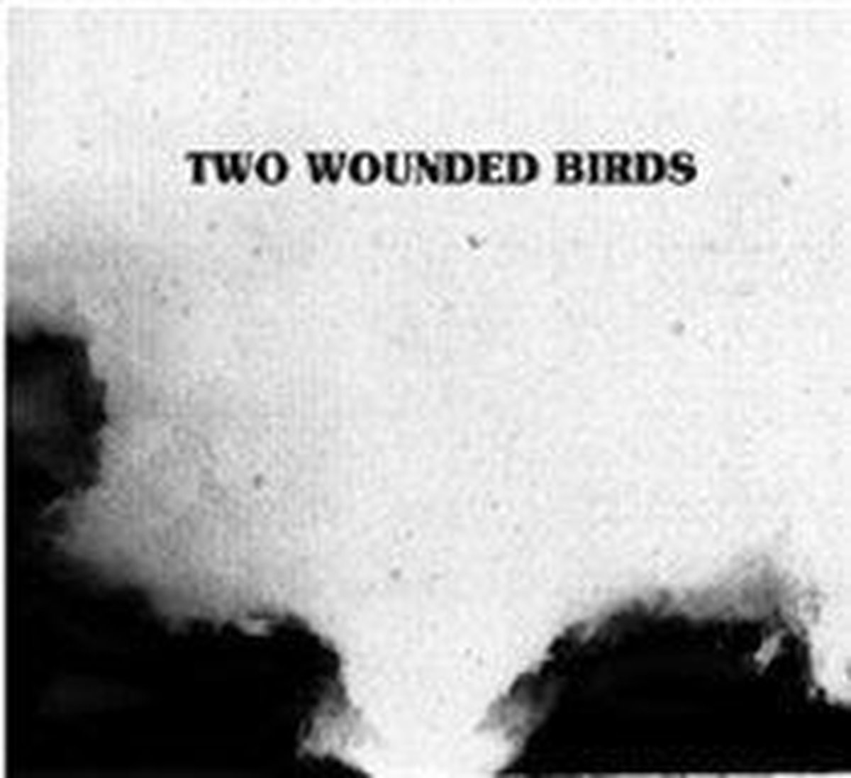 Two Wounded Birds