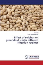 Effect of sulphur on groundnut under different irrigation regimes