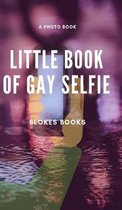 Little book of Gay Selfie