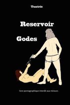 Reservoir Godes