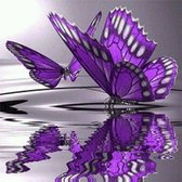 Diamond Painting paarse vlinders 30x30cm