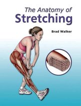 The Anatomy of Stretching