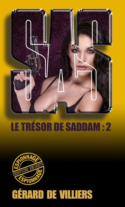 SAS 164 Le trésor de Saddam T2 - cover