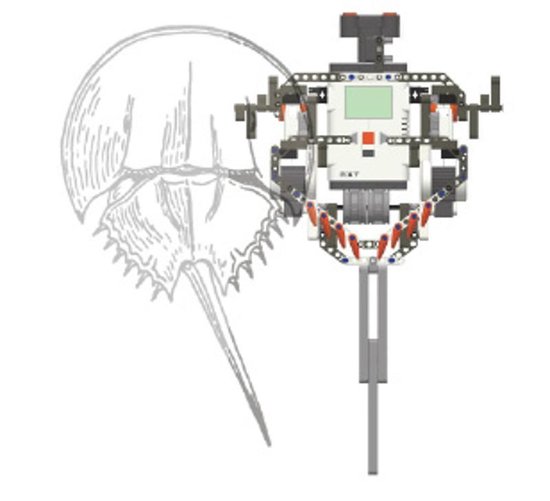 NXT One-Kit Creatures - cover