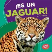 !es Un Jaguar! (It's a Jaguar!)