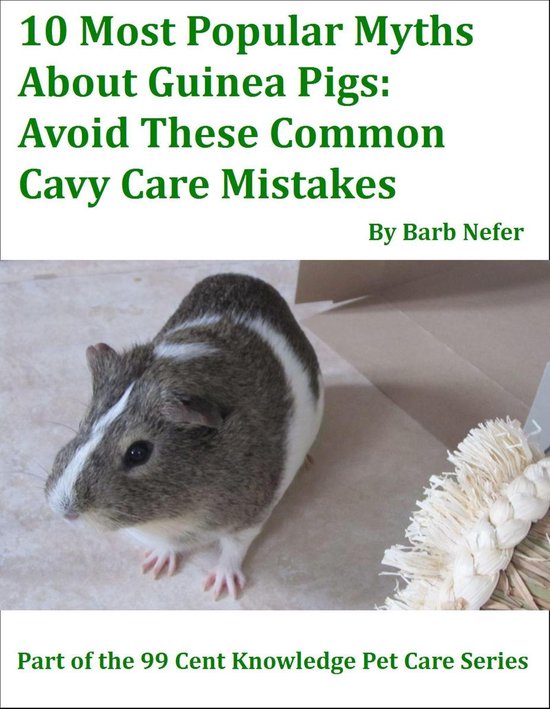 10 Most Popular Myths About Guinea Pigs: Avoid These Common  ... - cover