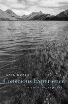 Conscious Experience – A Logical Inquiry