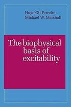 The Biophysical Basis of Excitability