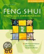Feng Shui Kraftquelle Zimmerpflanzen