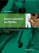 Adams' Lahmheit bei Pferden