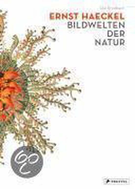Cover van het boek 'Ernst Haeckel Bildwelten der Natur'