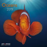 Oceans Kalender 2019 incl. jaarposter