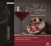 Andrea Luchesi: Sinfonie Avant L'opera