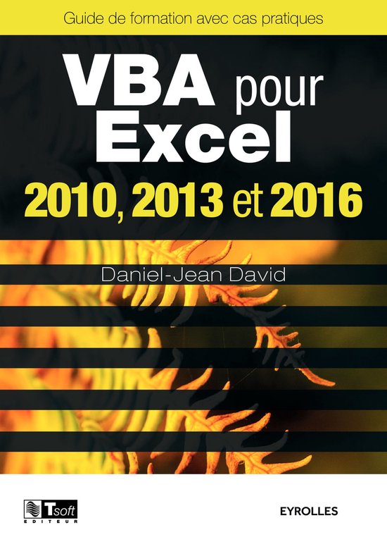 Vba Pour Excel 2010 2013 Et 2016 Ebook Daniel Jean David 9782212030549 Boeken 9820