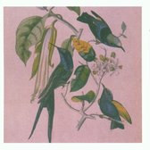 Susumu Yokota - Sakura (CD)