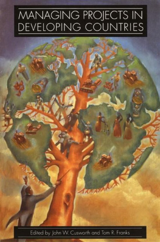 Managing Projects In Developing Countries - cover